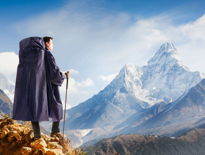 <h2>Leidenschaft</h2>